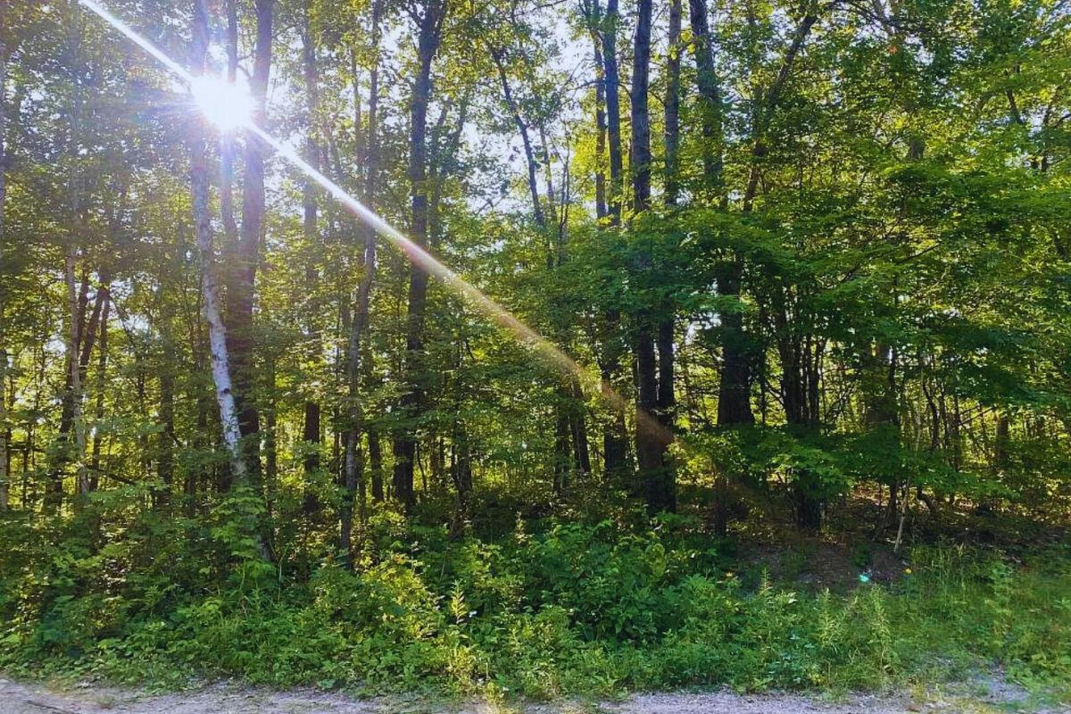 Diamond Dr #2 - Diamond Dr, Randall, MN 56475